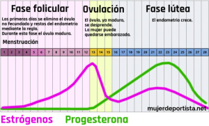 Cómo afecta el ciclo menstrual en el entrenamiento y la